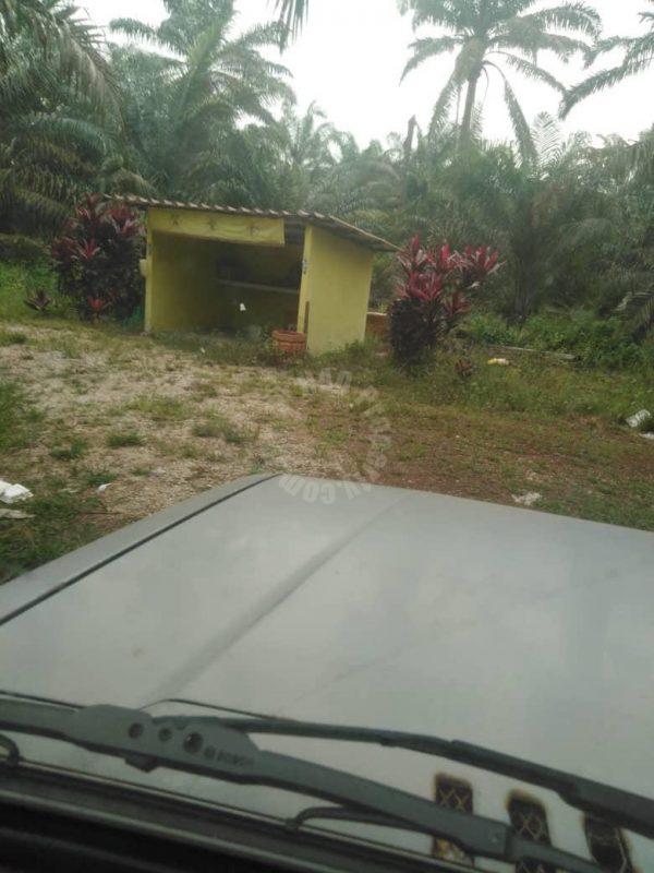 pontian 10 agricultural  agricultural lands 10 acres land area selling price rm 2,300,000 on pontian, johor, malaysia #4167