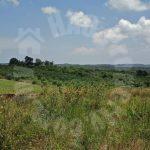 sedili kota tinggi agricultural  agricultural landss rental from rm 4,545 at sedili besar, kota tinggi, johor, malaysia #5190