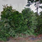 kulai agricultural beside road agricultural lands 20 acres land area rent at rm 85 on jalan kulai - kota tinggi, 81000 kulai, johor, malaysia #7605