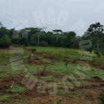 sungei tiram 2 agricultural  agricultural lands 2 acres floor space selling from rm 650,000 in sungei tiram #7651